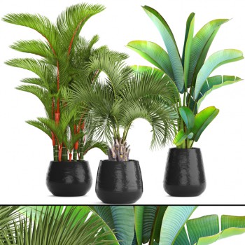 Modern Potted Green Plant-ID:617824776