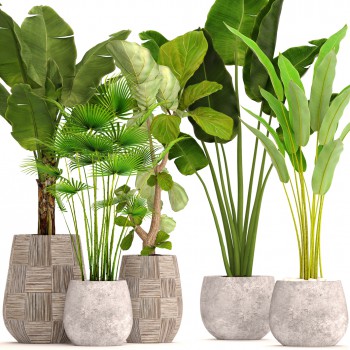 Modern Potted Green Plant-ID:406347359