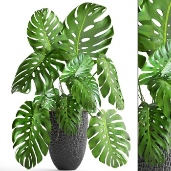 Modern Potted Green Plant-ID:606179185