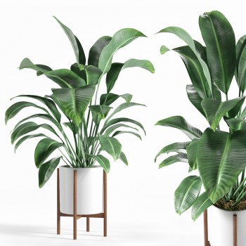 Modern Potted Green Plant-ID:305936267