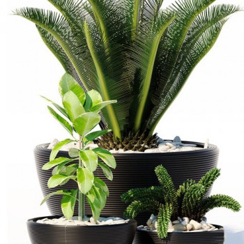 Modern Potted Green Plant-ID:391014323