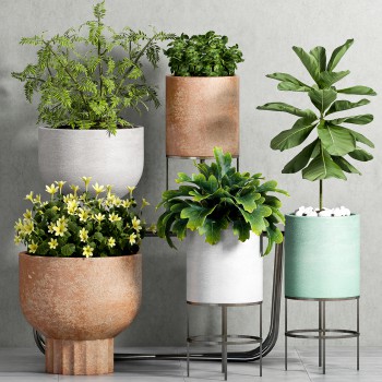 Modern Potted Green Plant-ID:589153878