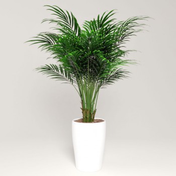 Modern Potted Green Plant-ID:336996633