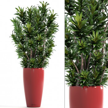 Modern Potted Green Plant-ID:613986278