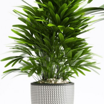 Modern Potted Green Plant-ID:474327983