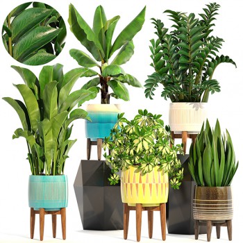 Modern Potted Green Plant-ID:364032192