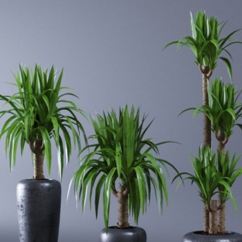 Modern Potted Green Plant-ID:610065852