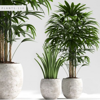 Modern Potted Green Plant-ID:398687631