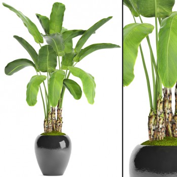 Modern Potted Green Plant-ID:697352819