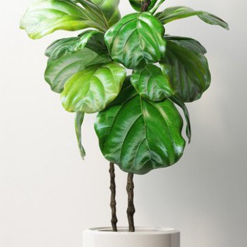 Modern Potted Green Plant-ID:383351736