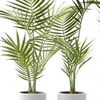 Modern Potted Green Plant-ID:645580224