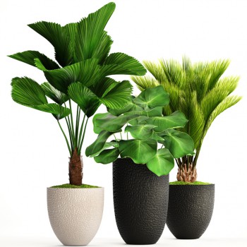 Modern Potted Green Plant-ID:701228345