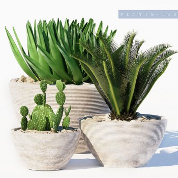 Modern Potted Green Plant-ID:435008965