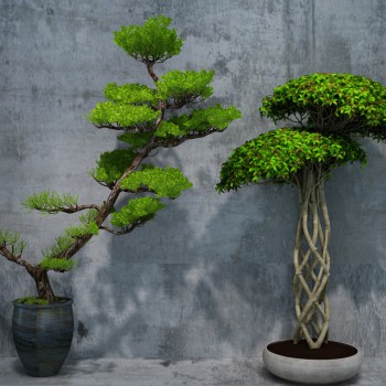 New Chinese Style Potted Green Plant-ID:226447893