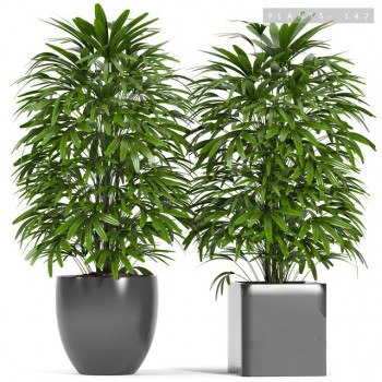 Modern Potted Green Plant-ID:570507773