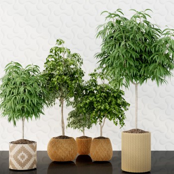 现代绿植盆栽-模型ID【185961】