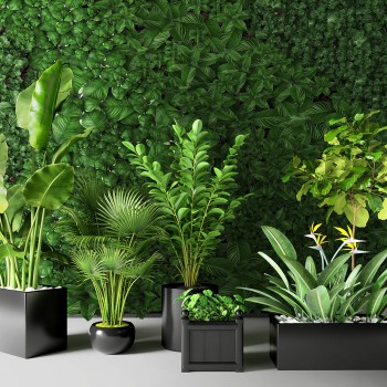 现代绿植盆栽植物墙-模型ID【187784】