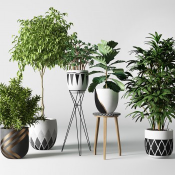 现代绿植盆栽-模型ID【188275】