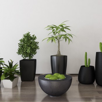现代绿植盆栽-模型ID【228036】