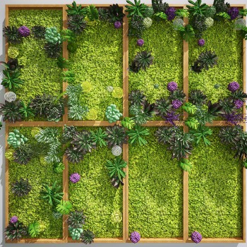 现代植物墙-模型ID【228407】