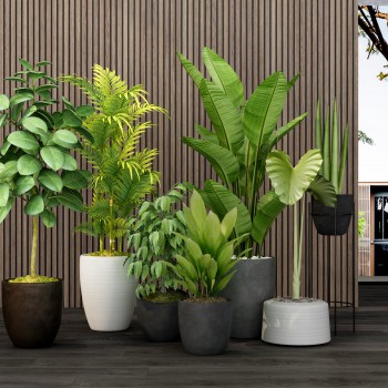 现代绿植盆栽-模型ID【236860】