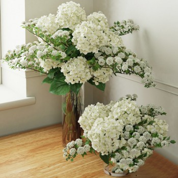 现代花瓶花艺-模型ID【238219】
