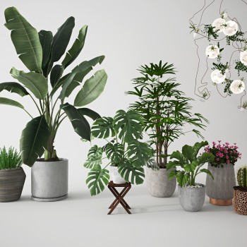 现代绿植盆栽-模型ID【297178】