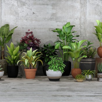 现代绿植盆栽-模型ID【323099】