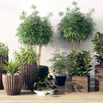 现代绿植盆栽-模型ID【357164】