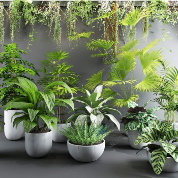 现代绿植盆栽-模型ID【356292】