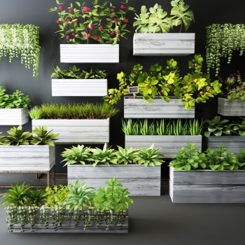 现代花草植物盆栽墙饰组合-模型ID【367019】