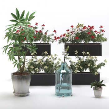 现代植物盆栽-模型ID【372209】