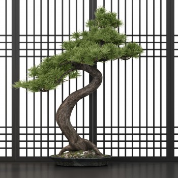 新中式花盆摆件松树绿植盆栽-模型ID【405285】