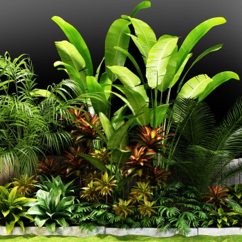 现代灌木植物-模型ID【436508】