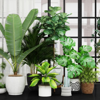 现代绿植盆栽-模型ID【448233】