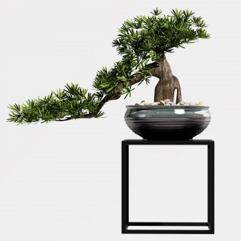 新中式松树植物盆栽-模型ID【480278】