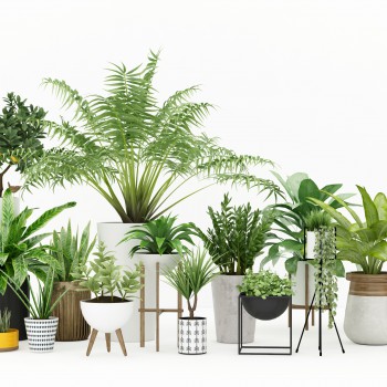 现代绿植盆栽-模型ID【488916】