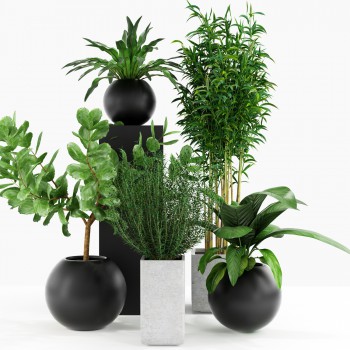 现代绿植盆栽-模型ID【491327】