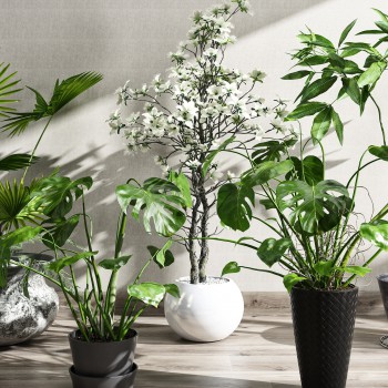现代绿植盆栽-模型ID【498139】