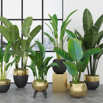 现代绿植盆栽摆件-模型ID【500565】