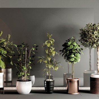现代绿植盆栽组合-模型ID【500756】