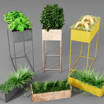 工业风铁艺盆栽植物组合-模型ID【500585】
