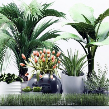 现代绿植盆栽组合-模型ID【500949】