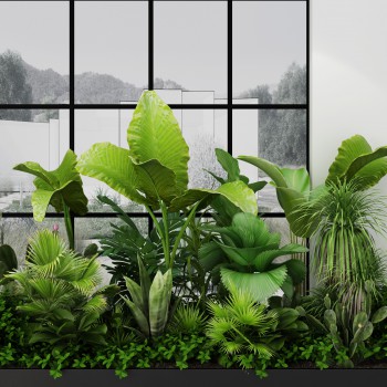 现代热带植物组合-模型ID【501118】