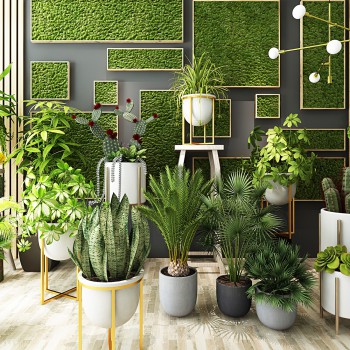 现代绿植盆栽-模型ID【502771】