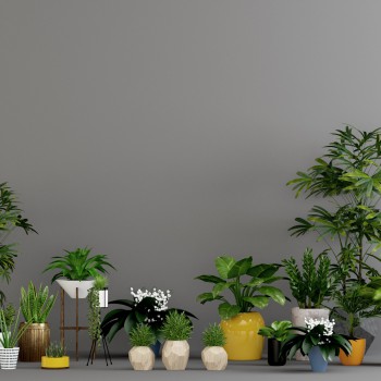 现代绿植盆栽-模型ID【502926】