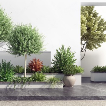 现代景观植物组合-模型ID【504050】
