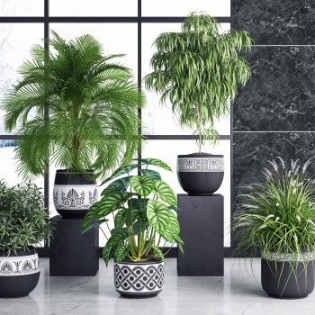 现代绿植盆栽-模型ID【504763】