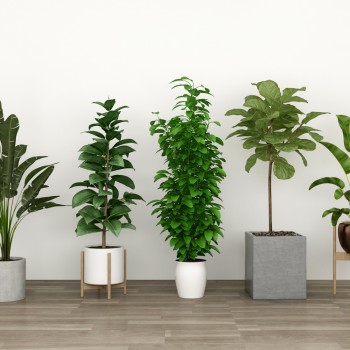 北欧绿植盆栽组合-模型ID【505656】