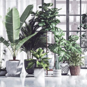 北欧绿植盆栽组合-模型ID【505861】